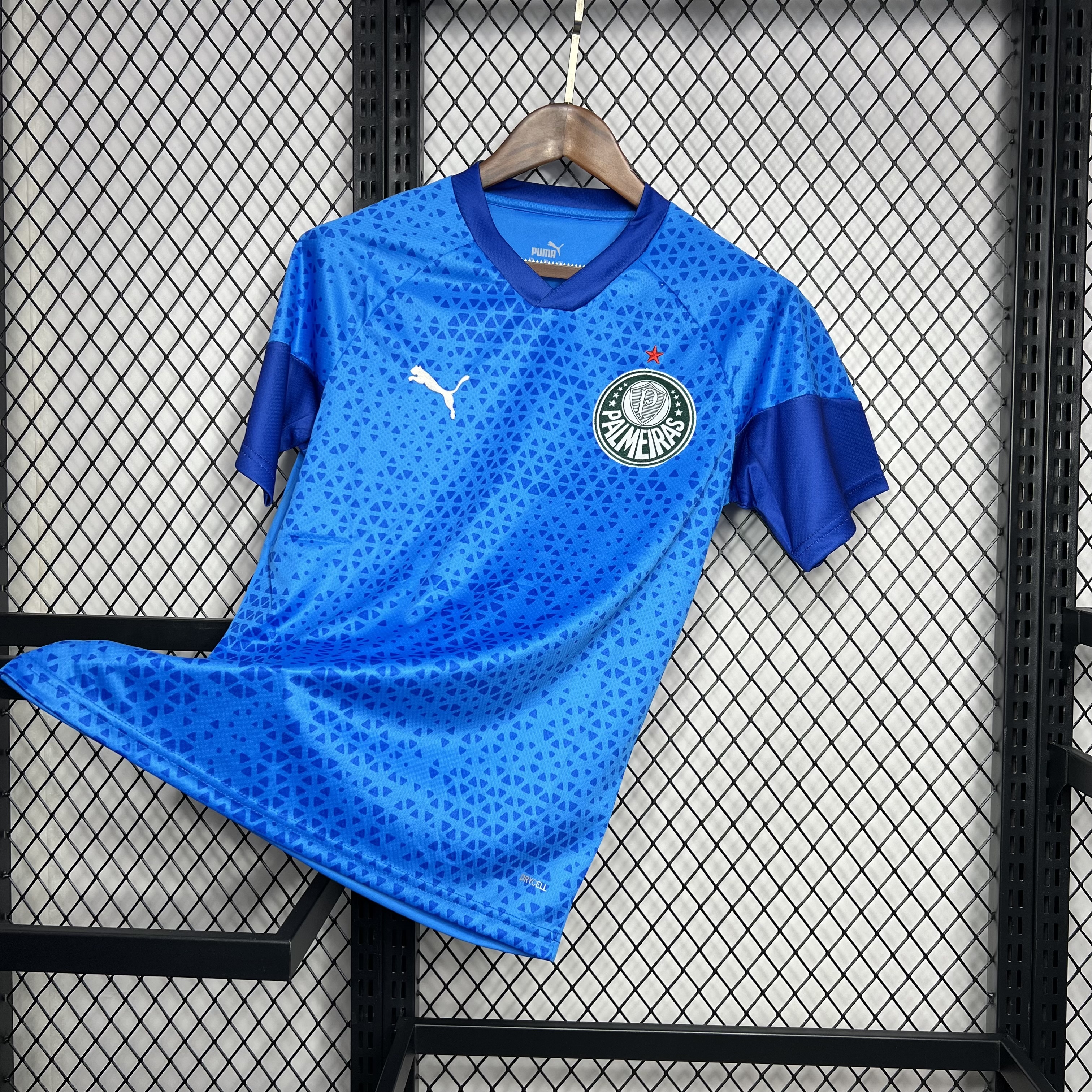Palmeiras 2024/25 Blue Goalkeeper Jersey