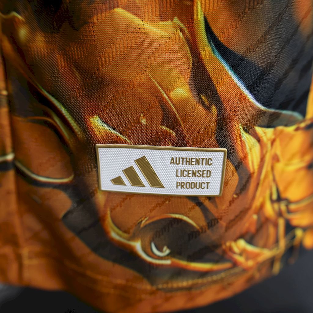 3628776e.jpg