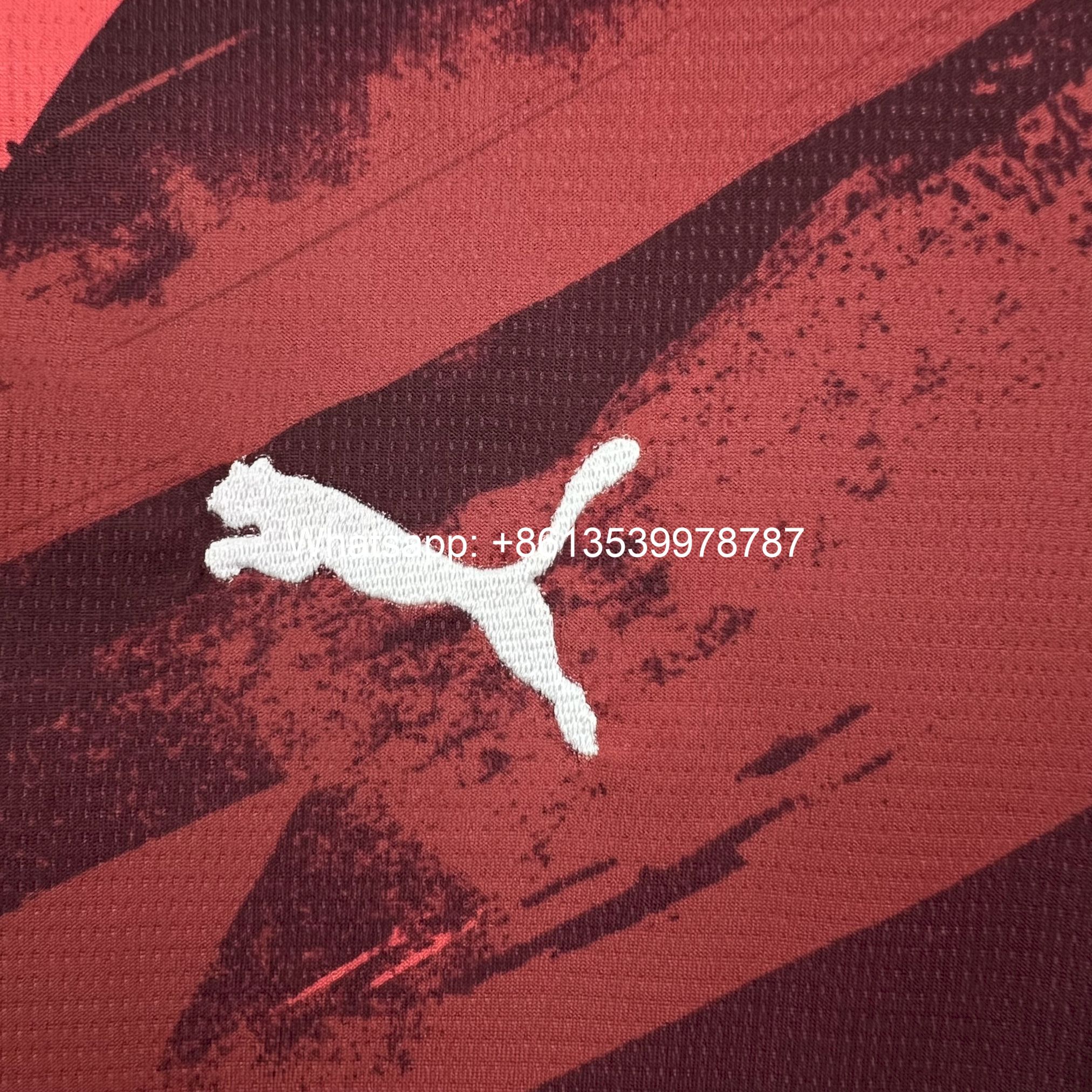 2024-11-25 154433.jpg