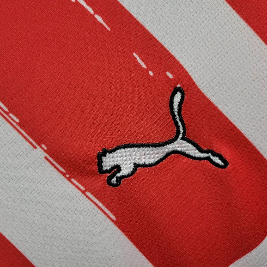 PSV Eindhoven Home 2425 Football team shirt Jersey (9).jpg