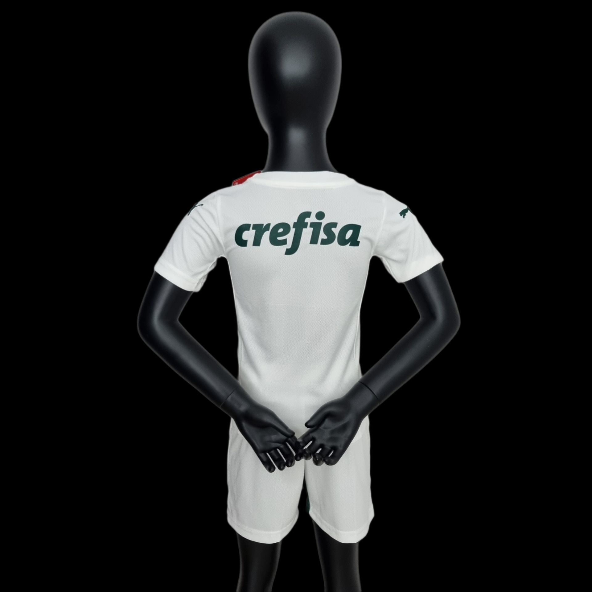 78FBCA54394C4F131CA16982EB565C8A.png