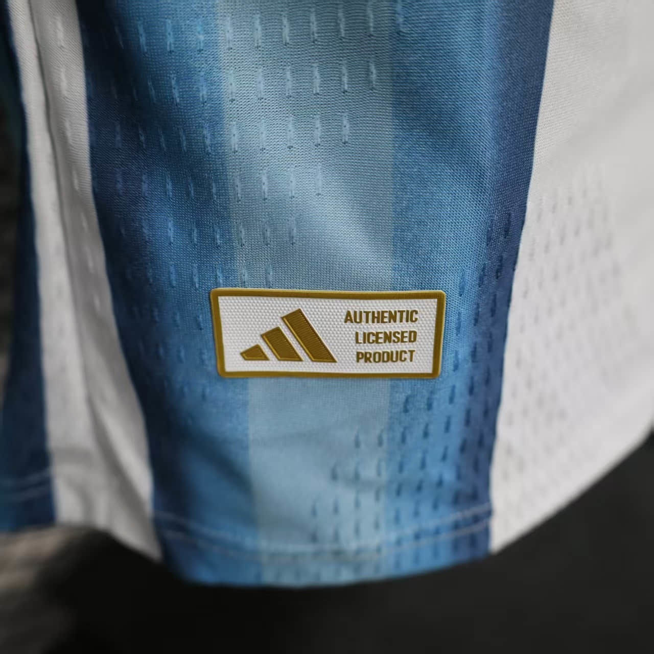 Player Argentina Home Long Sleeve  20252026 New Season Football Jersey Sports Shirt (6).jpg